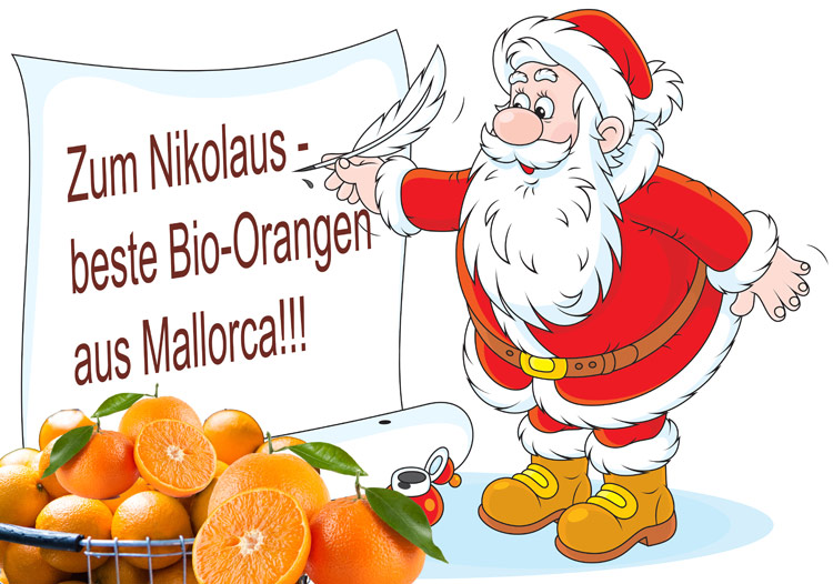Zum Nikolaus - beste Bio-Orangen aus Mallorca!!! 