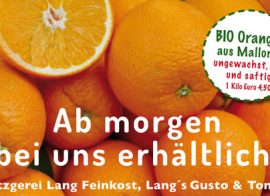 Bio Orangen aus Mallorca