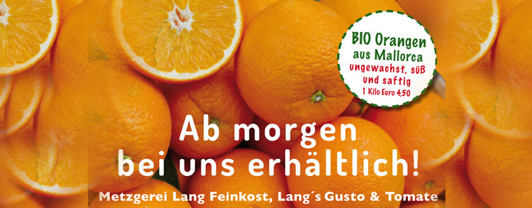 NEU! Bio Orangen aus Mallorca